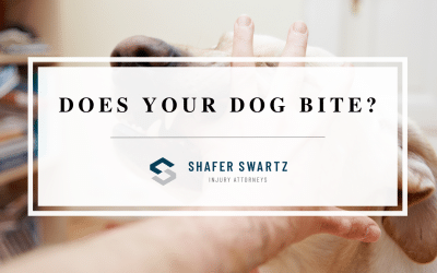 Does Your Dog Bite?