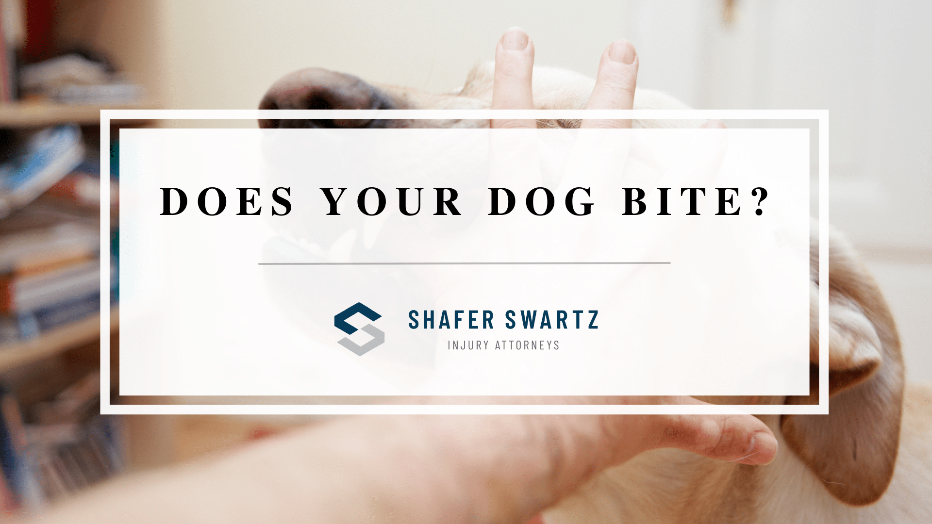Does Your Dog Bite?