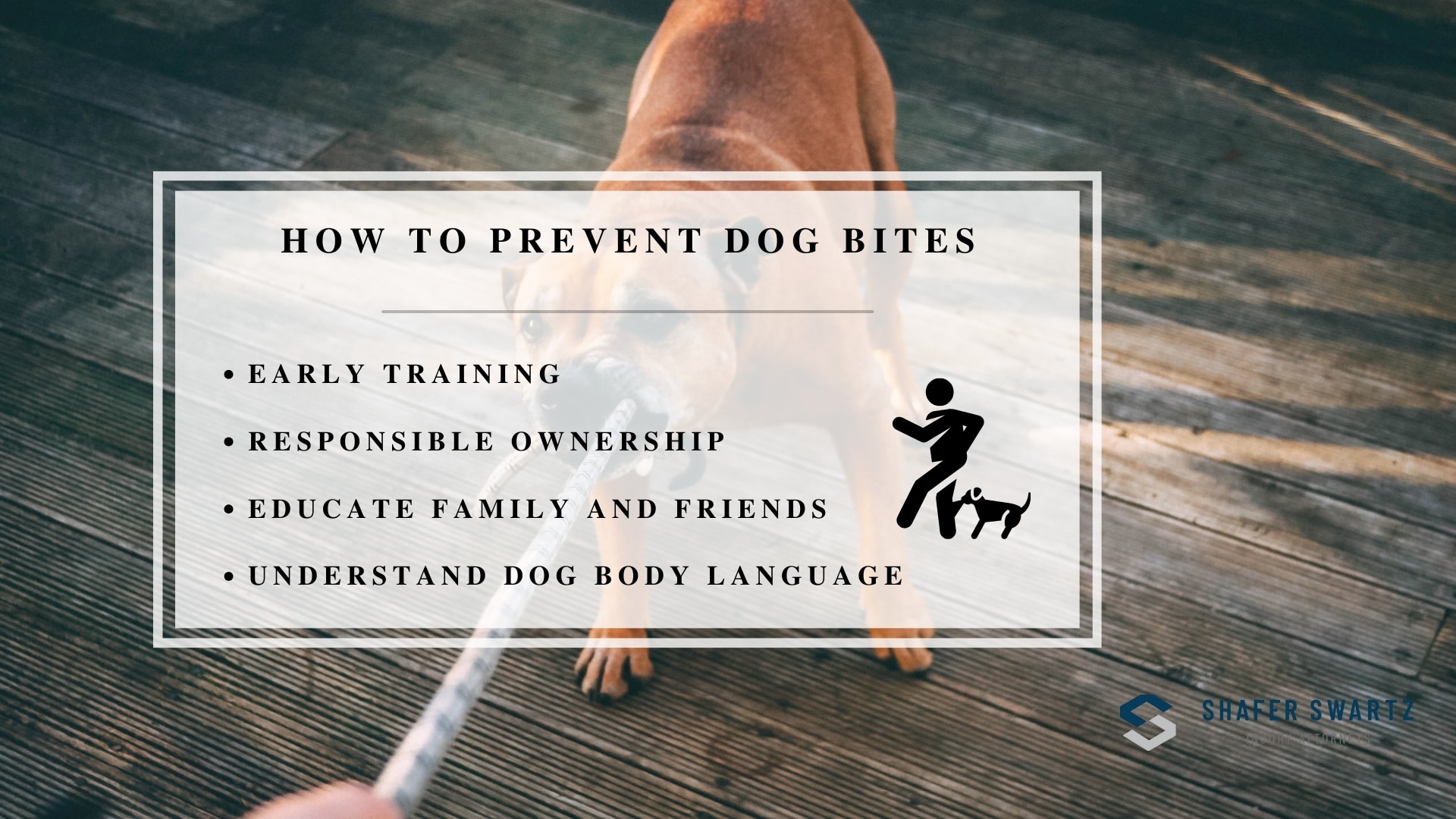 Infographic image of how to prevent dog bites