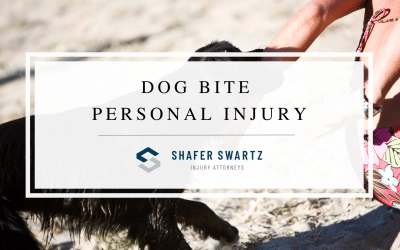 Dog Bite Personal Injury: How to Claim Compensation From the Owner