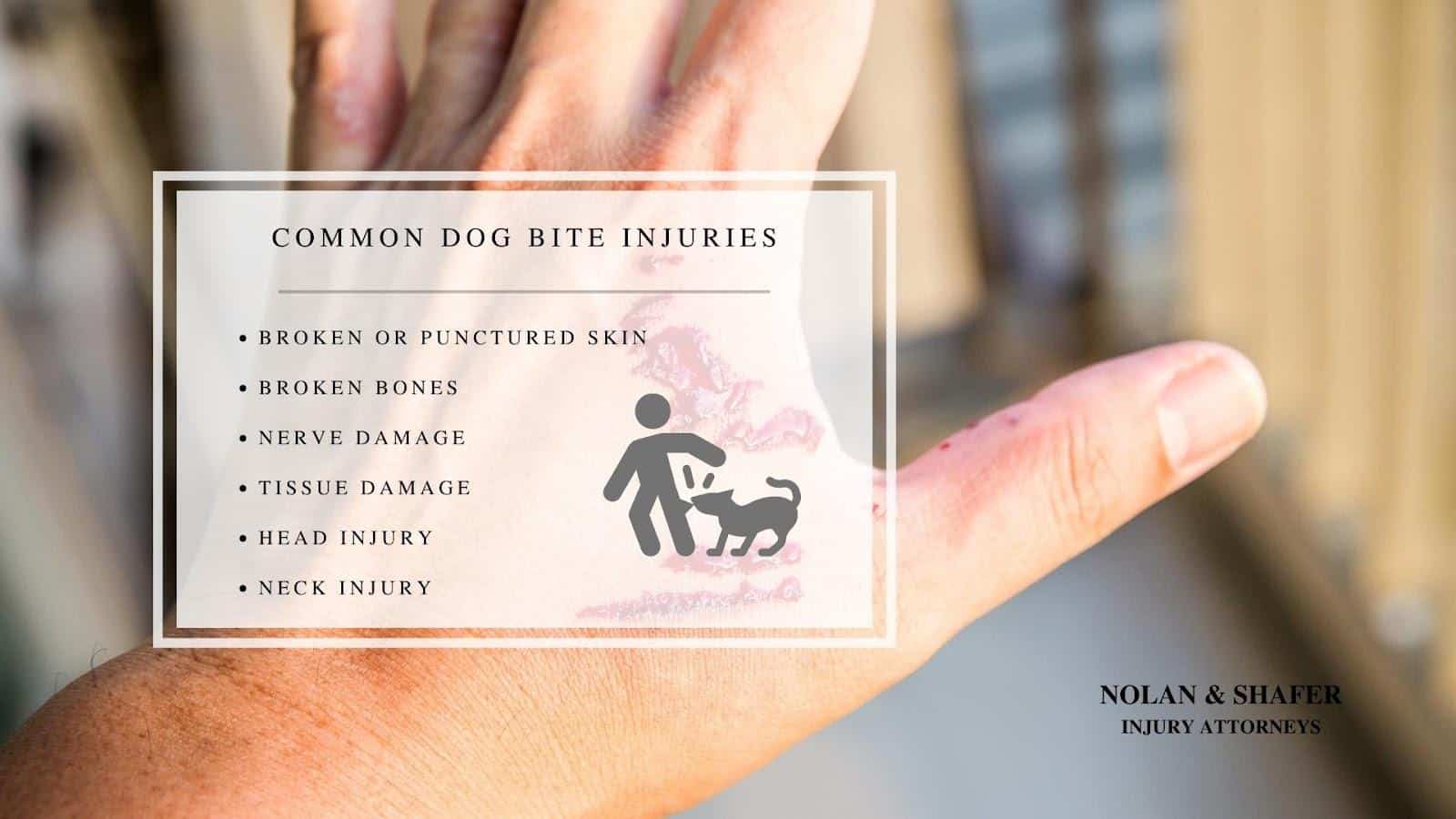 Infographic of the different common dog bite injuries
