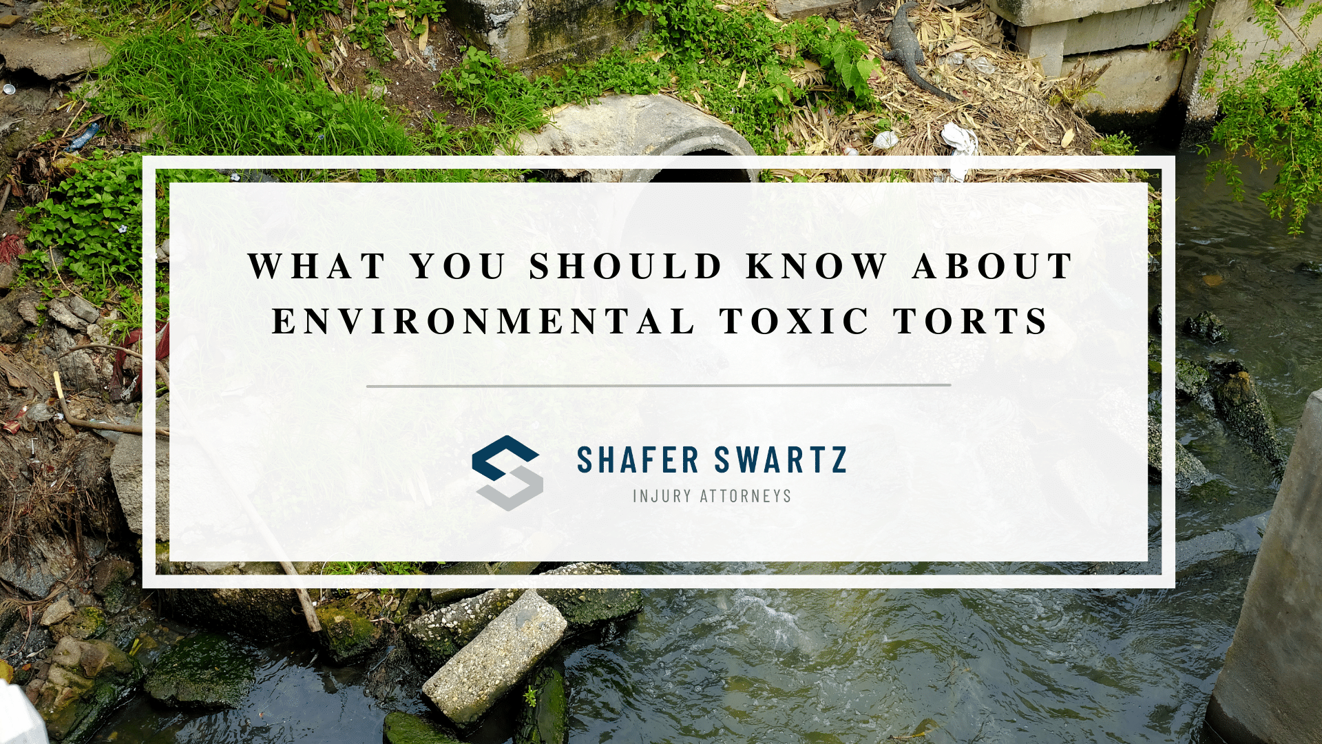 Featured image of what you should know about environmental toxic torts