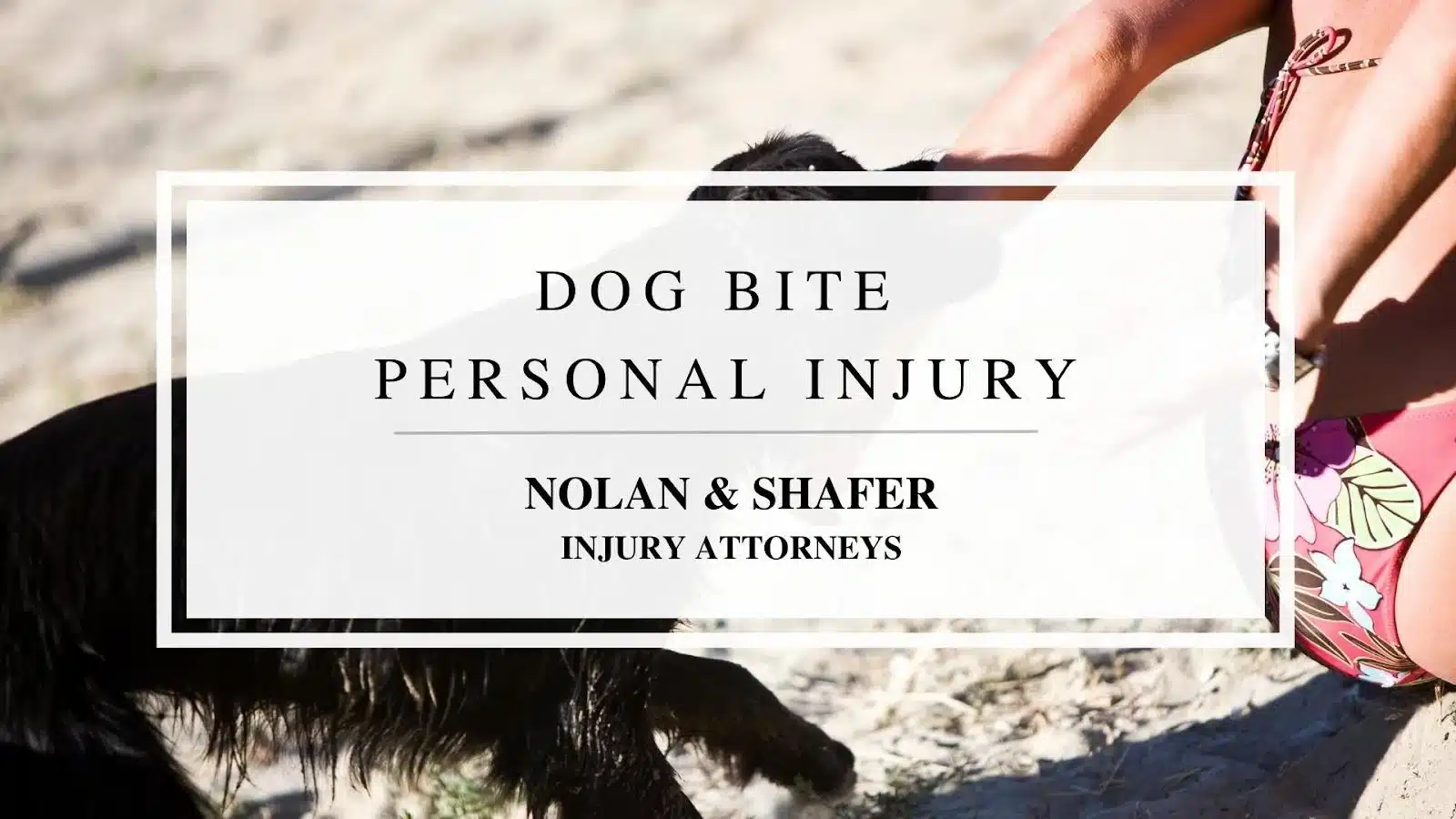 Featured image of the dog bite personal injury