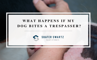 What If My Dog Bites a Trespasser – Explained By Personal Injury Attorney Muskegon