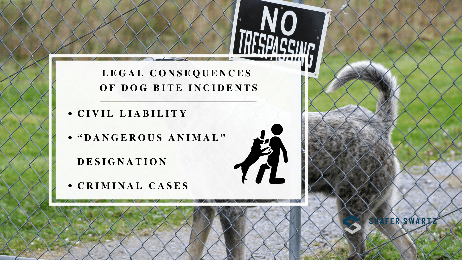 Infographic image of legal consequences of dog bite incidents