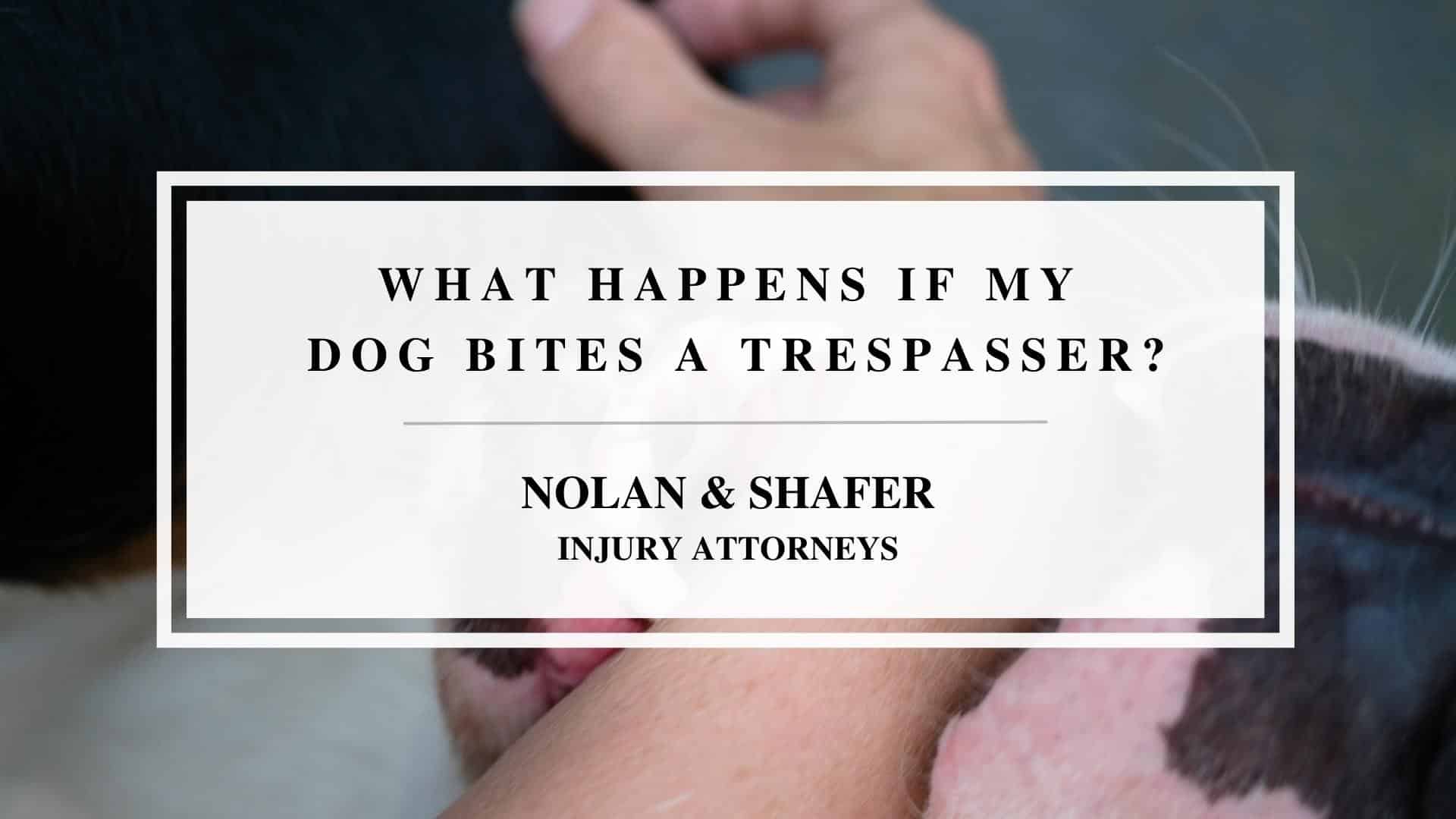Featured image of what happens if my dog bites a trespasser?