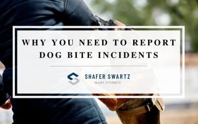 What Happens if You Don’t Report a Dog Bite: Muskegon Injury Attorney Answers