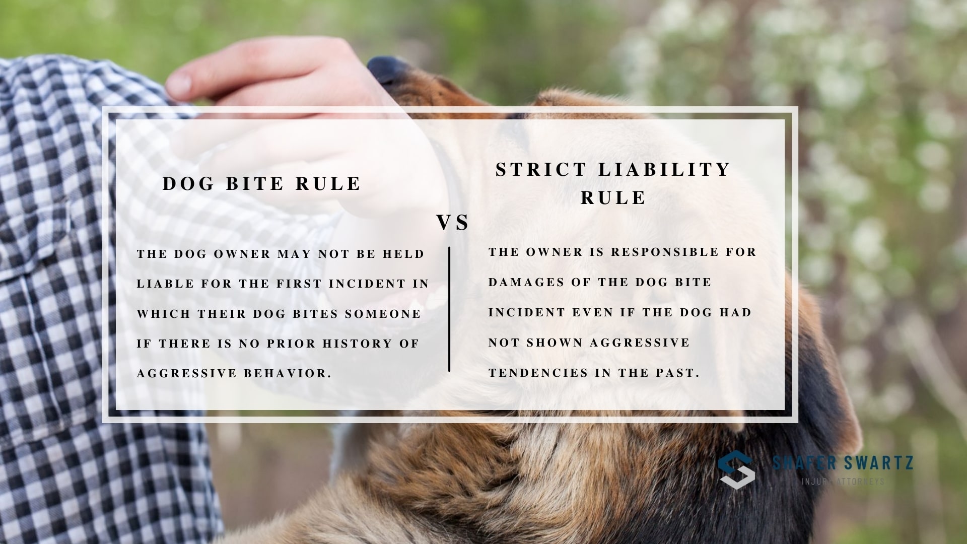 Infographic image of dog bite rule vs strict liability rule