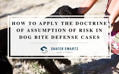 Utilizing the Doctrine of Assumption of Risk in Dog Bite Defense Cases