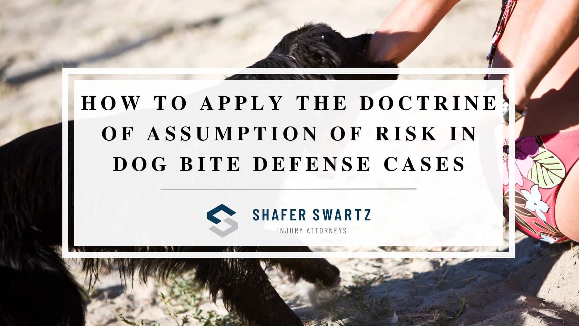 Featured image of how to apply the doctrine of assumption of risk in dog bite defense cases