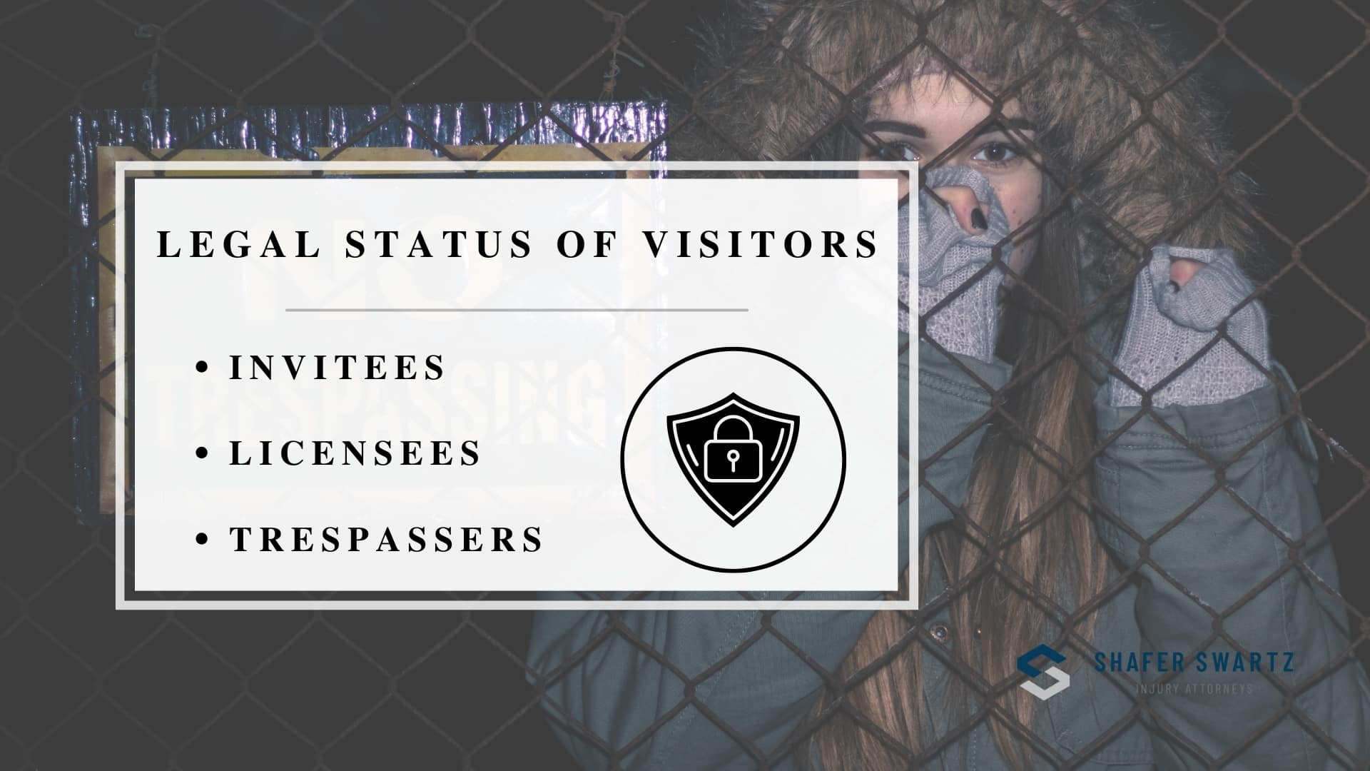 Infographic image of legal status of visitors