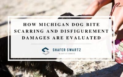 Dog Bite Scarring and Disfigurement Claims: How Long-Term Damages Are Evaluated