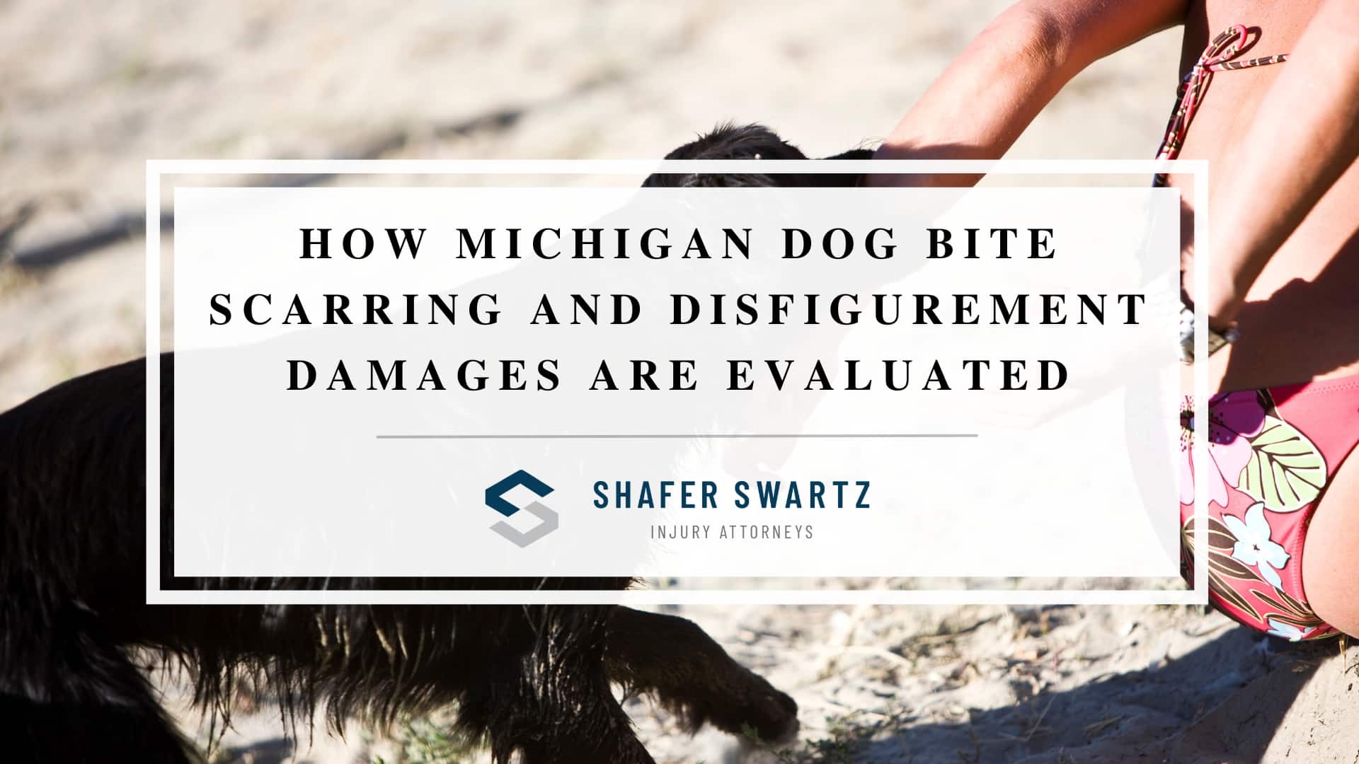 Featured image of how Michigan dog bite scarring and disfigurement damages are evaluated