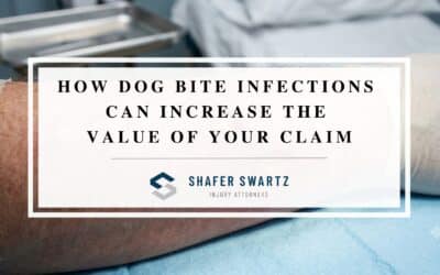 Dog Bite Infection Claims: When Medical Complications Increase Damages