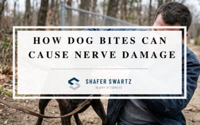 Dog Bite Nerve Damage: When an Attack Causes Long-Term Loss of Function