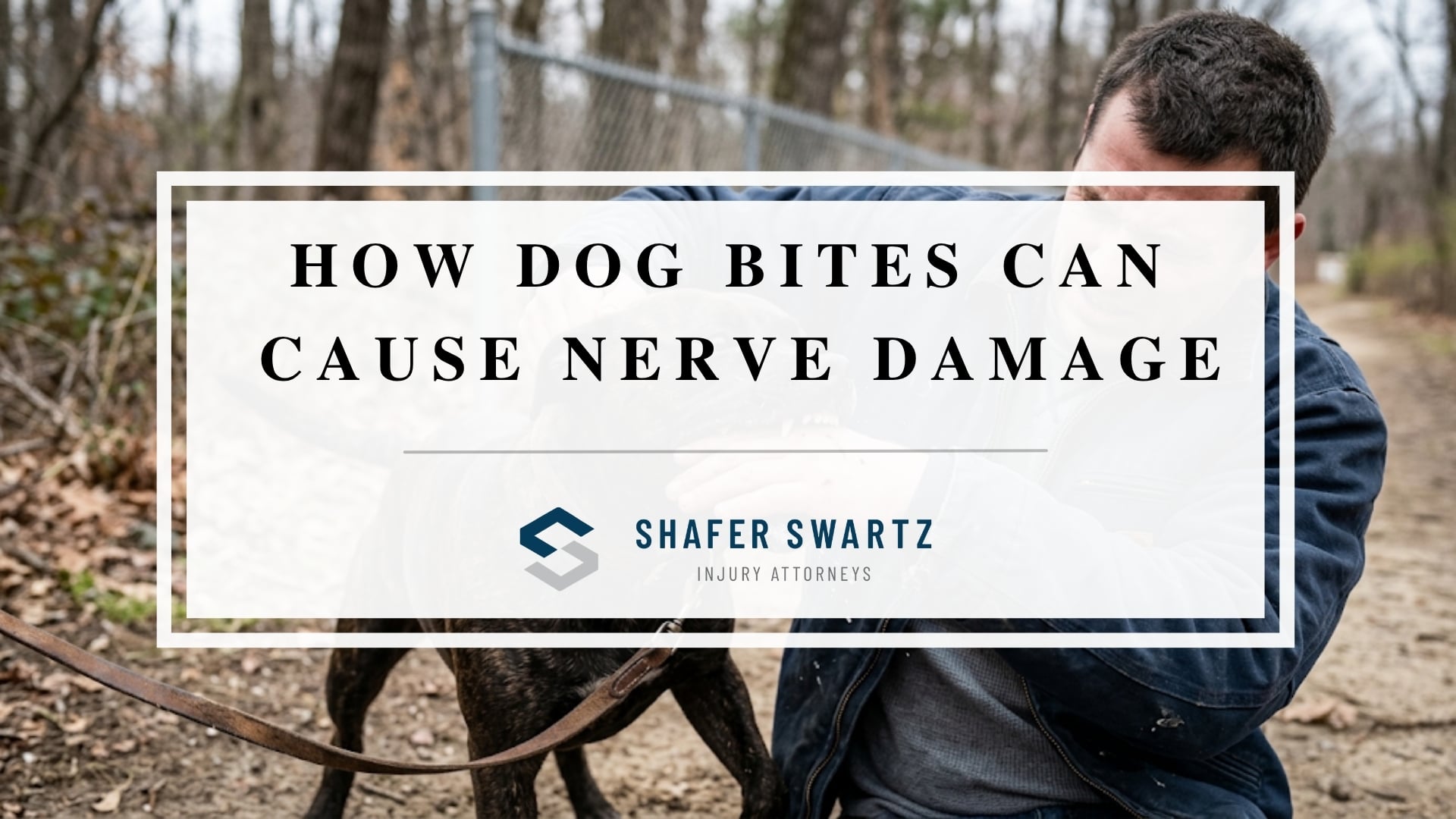 Featured image of how dog bites can cause nerve damage